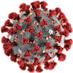 Procedure interne emergenza Covid-19 (AGGIORNATO)